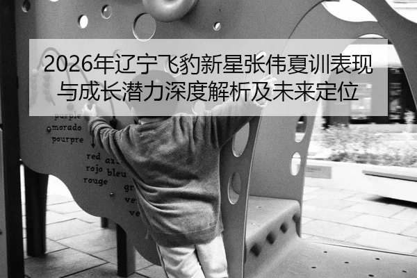 nian-liao-ning-fei-bao-xin-xing-zhang-wei-xia-xun-biao-xian-yu-cheng-zhang-qian-li-shen-du-jie-xi-ji-wei-lai-ding-wei-2-308.jpg